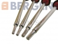 BERGEN Professional 12 Piece Mini Pick and Hook Set BER5007 *Out of Stock*