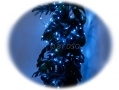 GardenKraft 50 LED Blue Decorative Solar Lights BML15440 *Out of Stock*